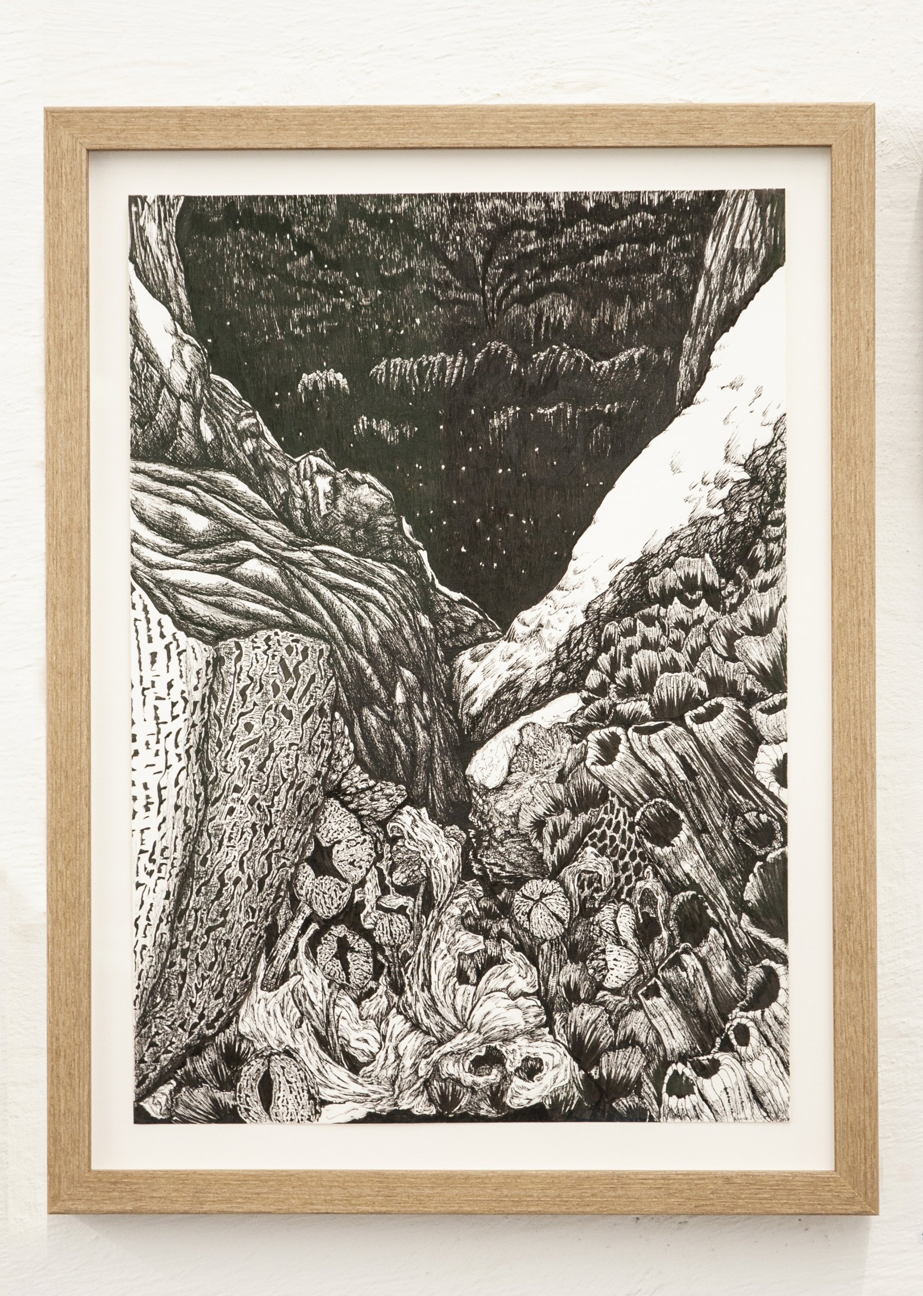 *Et indre sáiva* med dikt (2018) av Ragna Misvær Grønstad. Penn og penseltusj.