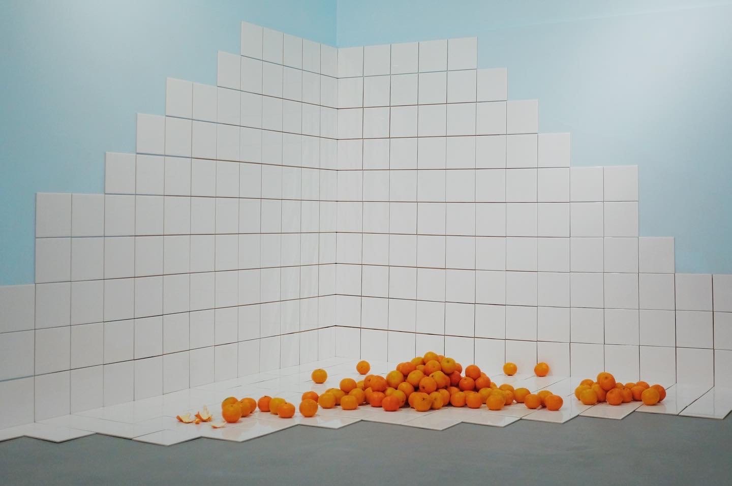 Foto: Yilei Wang/Northing